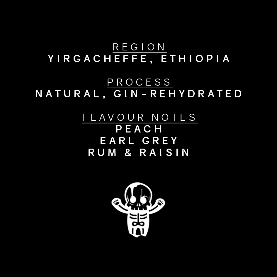 Chelba, Ethiopia, GinRehydrated Upside Down Coffee Roaster