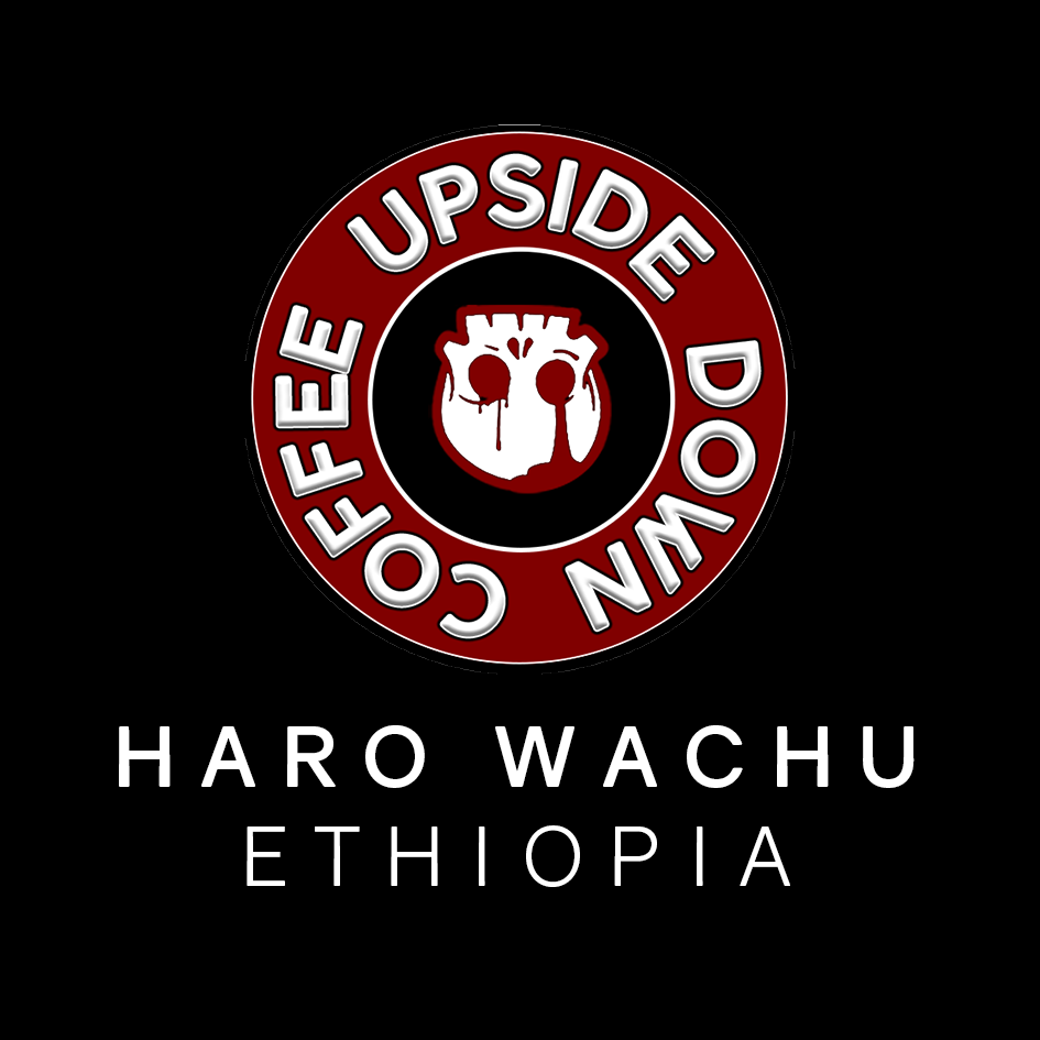 Haro Wachu, Ethiopia - 200G