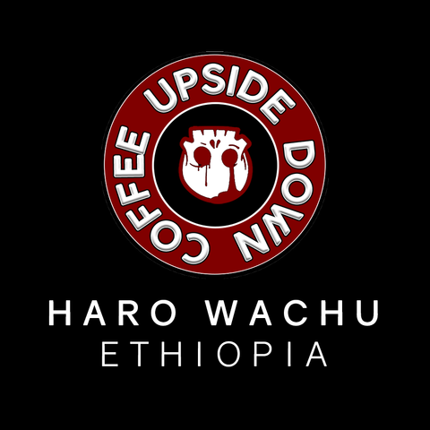 Haro Wachu, Ethiopia - 200G